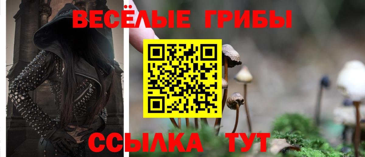 Галлюциногенные грибы Magic Shrooms Сибай